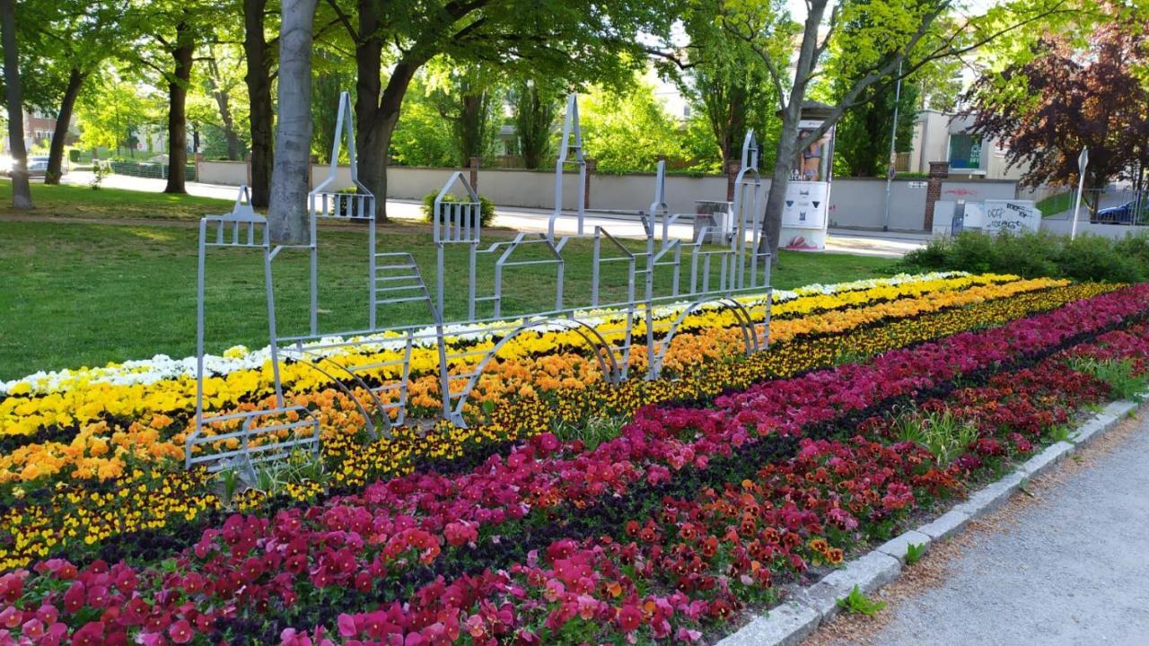 Alte Baeckerei Bautzen - 02 #Senior# Im Zentrum, Mit Parkplatz, Top Ausgestattet 외부 사진