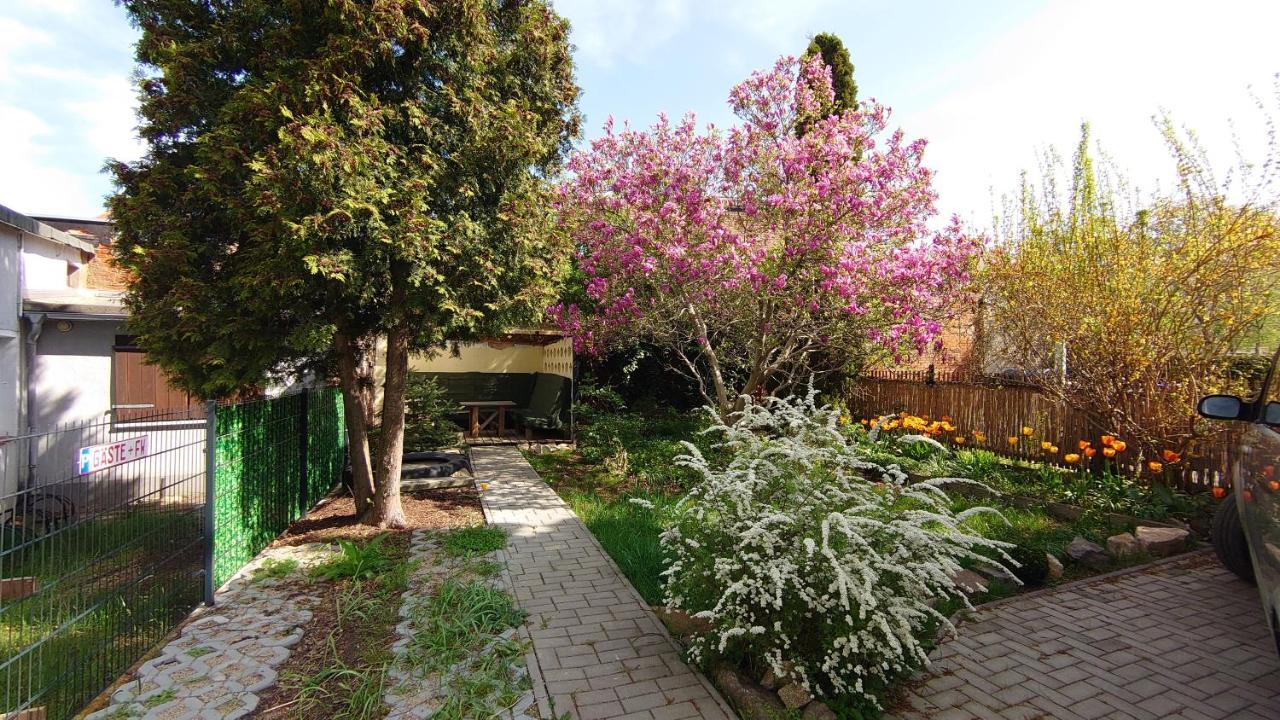 Alte Baeckerei Bautzen - 02 #Senior# Im Zentrum, Mit Parkplatz, Top Ausgestattet 외부 사진